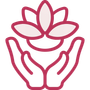 Two hands cupping a lotus flower in shades of pink.