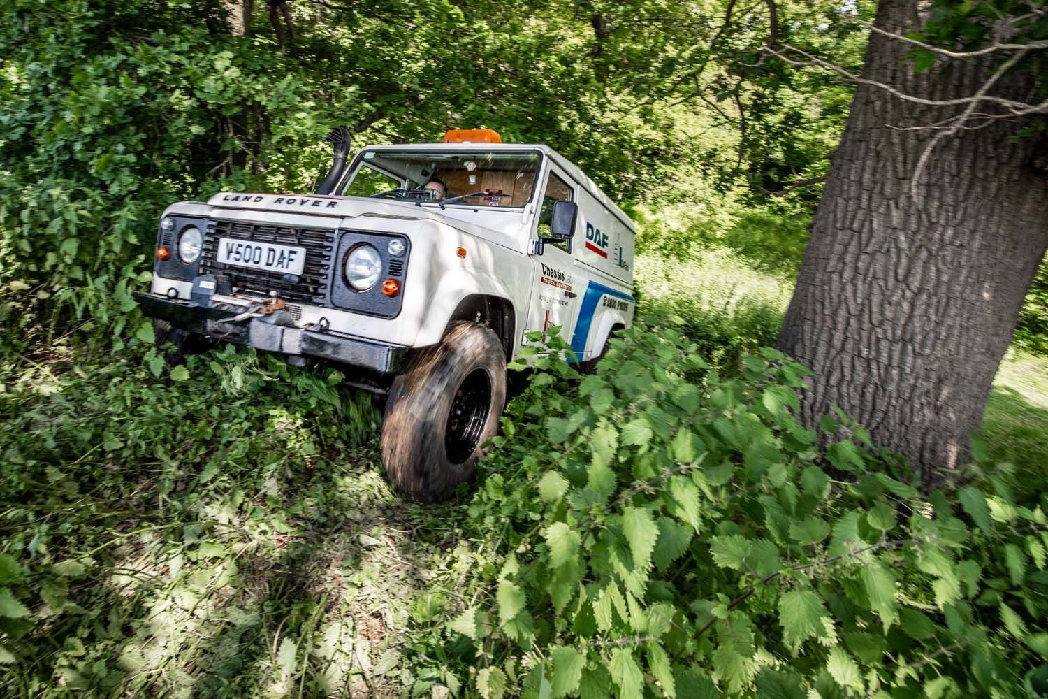 Transport photography featuring white off-road truck climbing a steep, leafy slope beside a large tree in a wooded area
