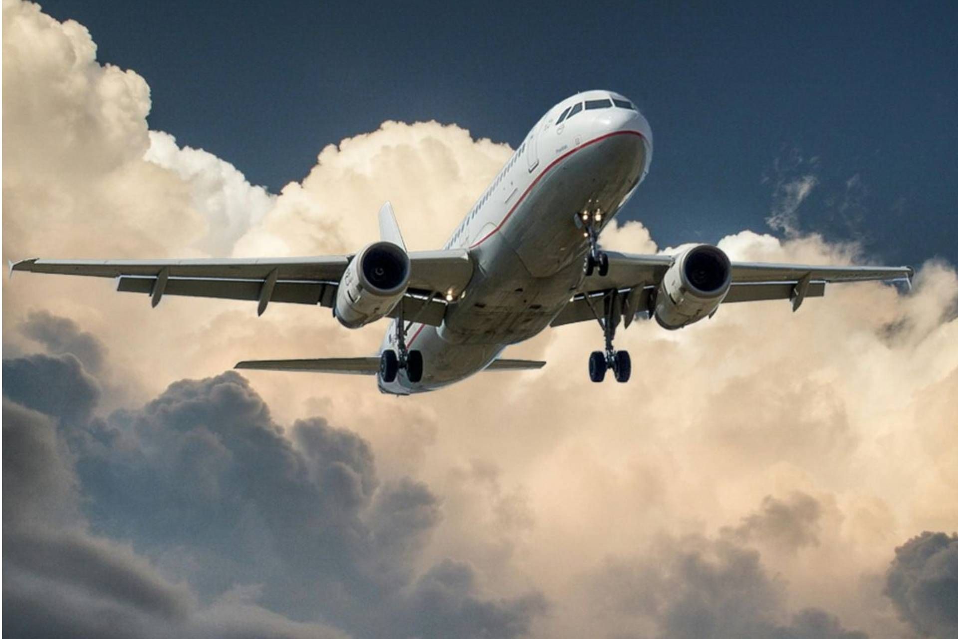 La paura di volare: un'analisi scientifica dell'aerofobia La paura di volare: un'analisi scientifica dell'aerofobia