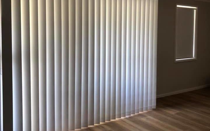 A Cat Is Standing In Front Of A Sliding Glass Door With Blinds — Bay Blinds & Doors in Bateau Bay, NSW