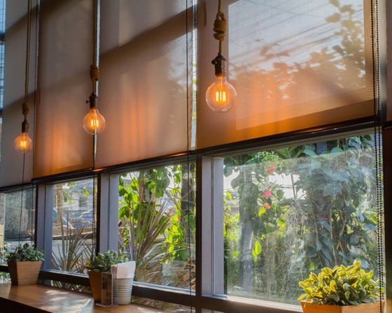 A Restaurant with Lots of Windows and Potted Plants — Bay Blinds & Doors in Wyong, NSW