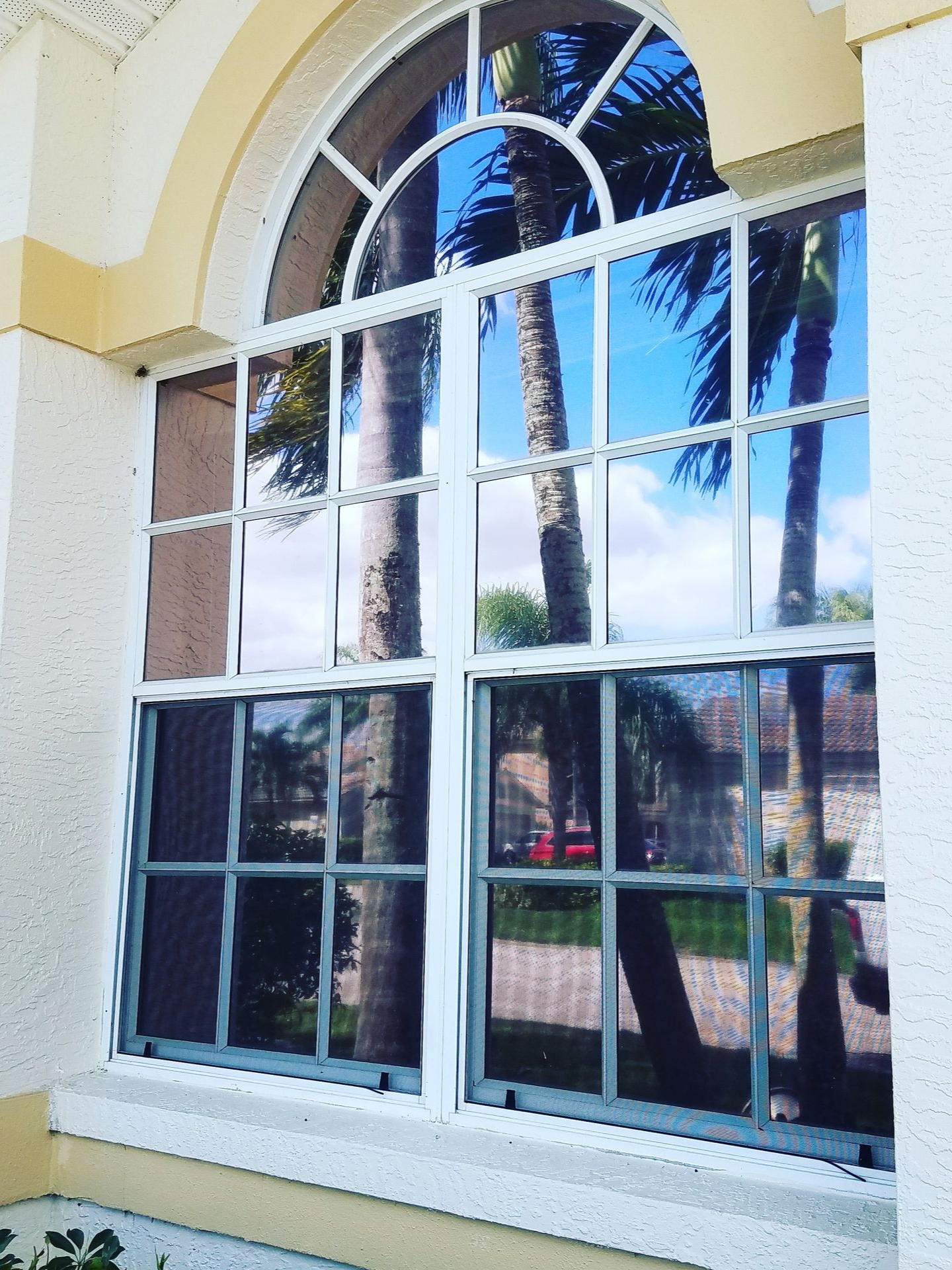 White-paned arched window reflecting palm trees and blue sky on a cream stucco wall
