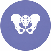 Organ Prolapse