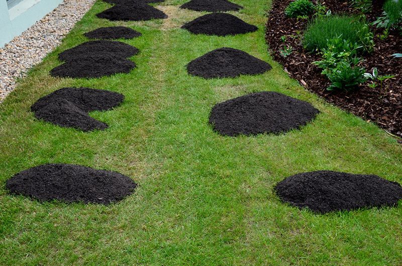 A Lush Green Lawn and Fertilised Dirts — Beerwah Co-Op in Beerwah, QLD