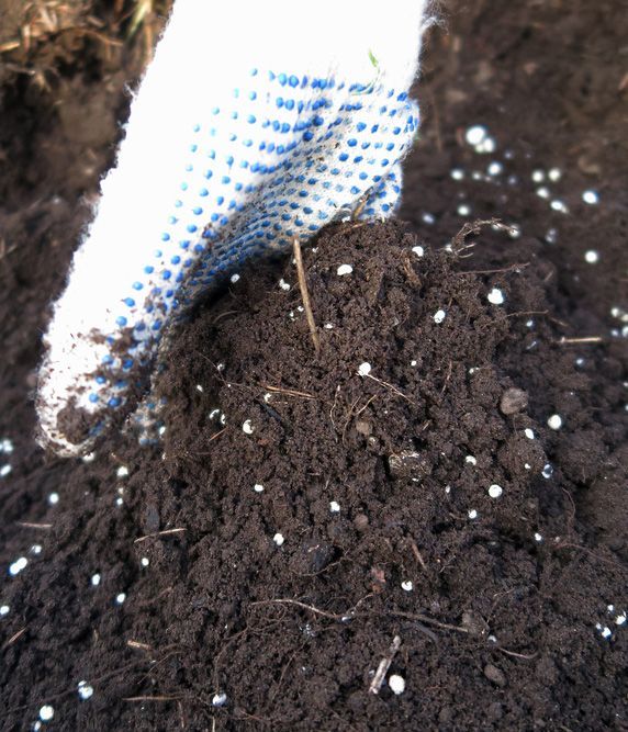 A Person Wearing a Blue and White Glove is Holding a Pile of Dirt — Beerwah Co-Op in Beerwah, QLD
