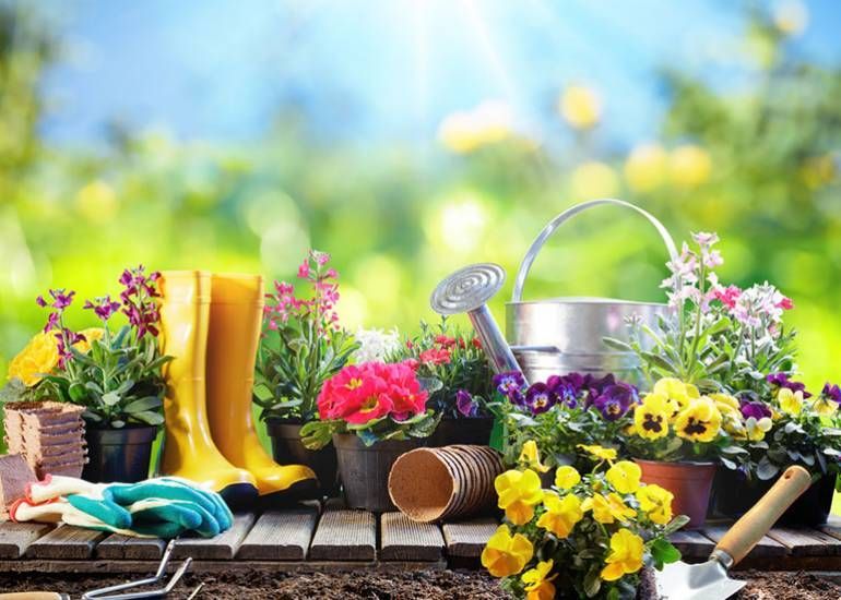 A Wooden Table Topped With Potted Flowers — Beerwah Co-Op in Beerwah, QLD