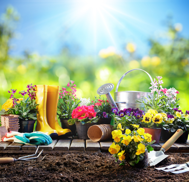 The Sun is Shining On Gardening gear — Beerwah Co-Op in Beerwah, QLD