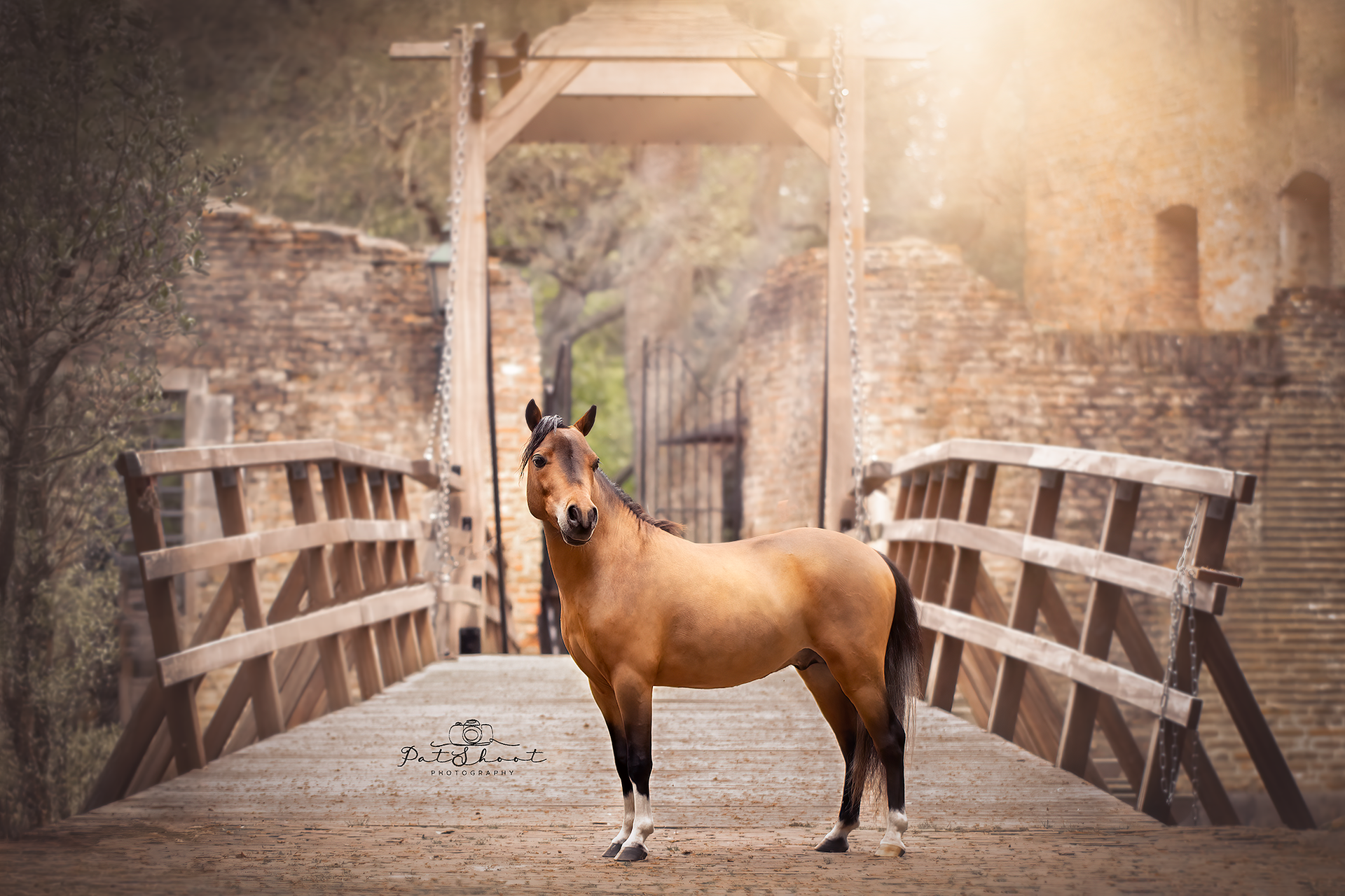Een bruin paard staat op een houten brug en kijkt uit over een historisch stenen bouwwerk; de zon schijnt.