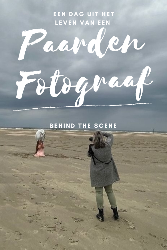 een dag uit het leven van een paardenfotograaf