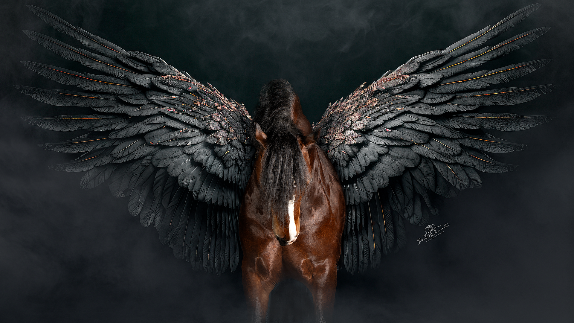 Een donker paard met grote, gevederde, zwarte vleugels, staand in een mistige, donkere omgeving.