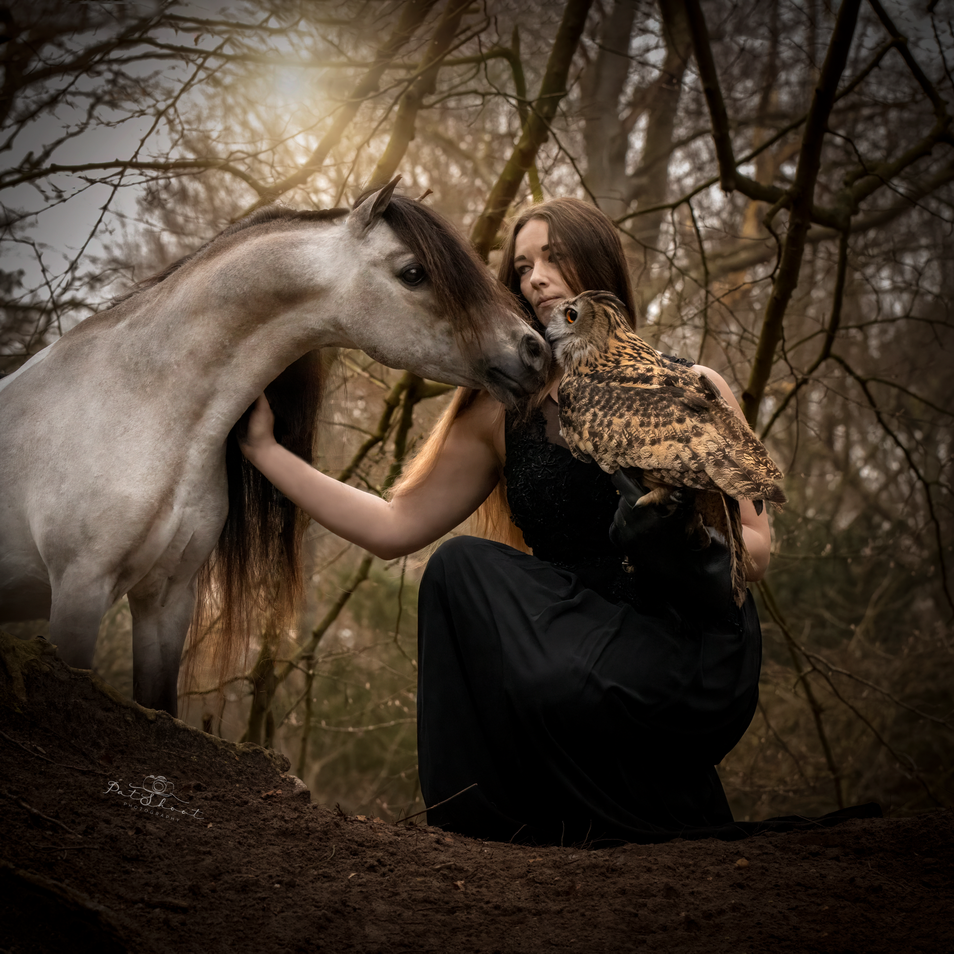 Vrouw knielt in het bos met paard en uil. De vrouw aait het paard en houdt de uil vast. Zacht zonlicht.