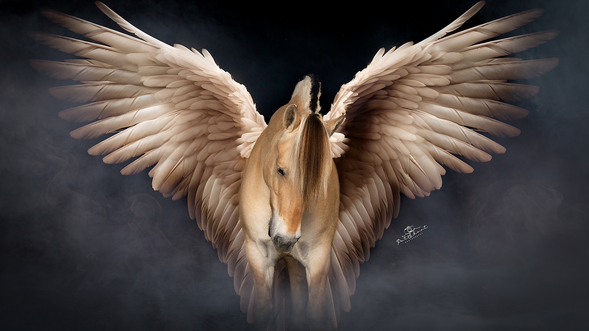 Een gevleugeld paard, met een lichtbruine vacht en witte veren, met gespreide vleugels tegen een donkere, rokerige achtergrond.