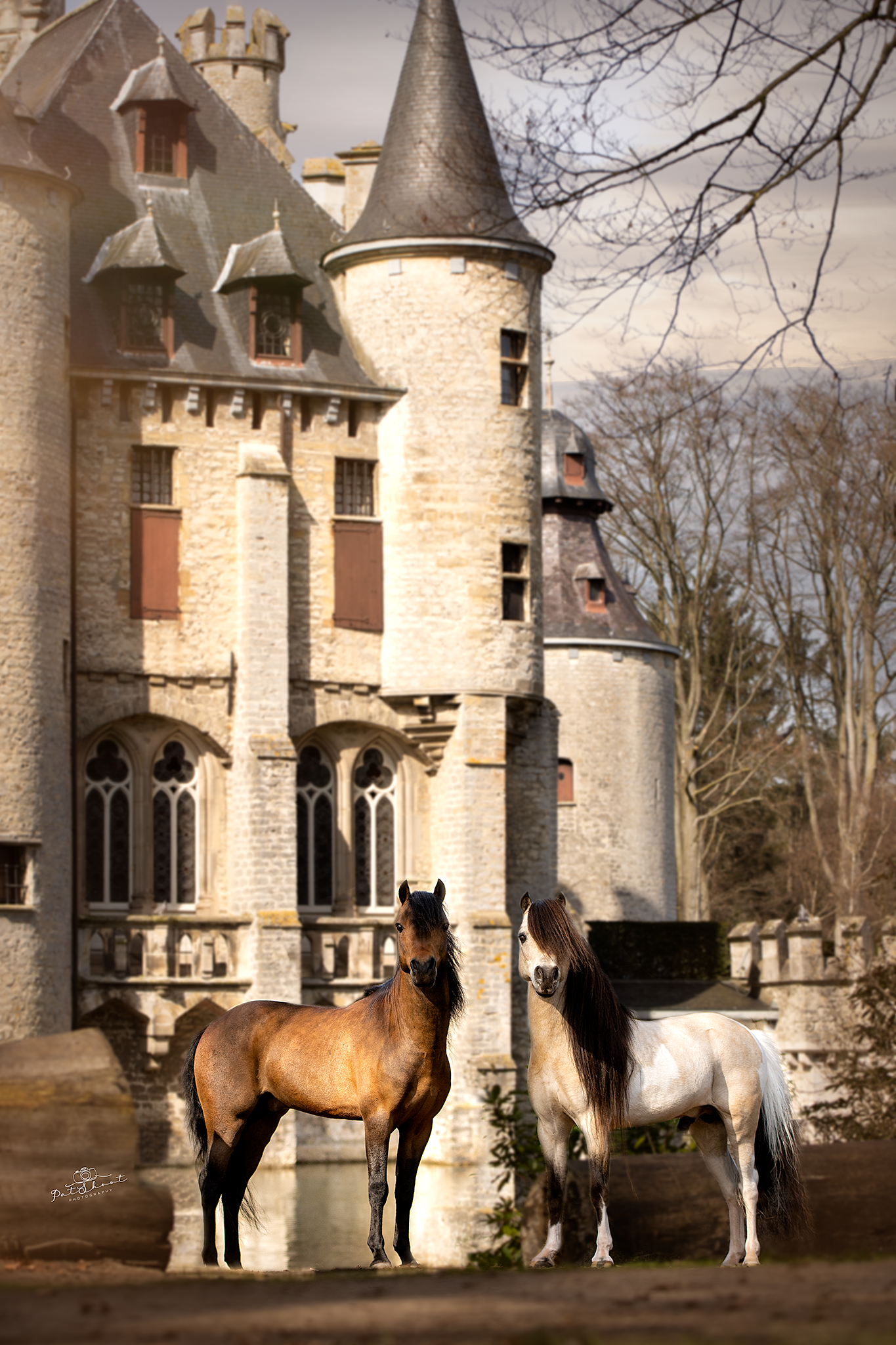 Twee paarden staan ​​voor een kasteel: een bruin en een wit paard met een zwarte manen. Zonlicht, bomen en steen.