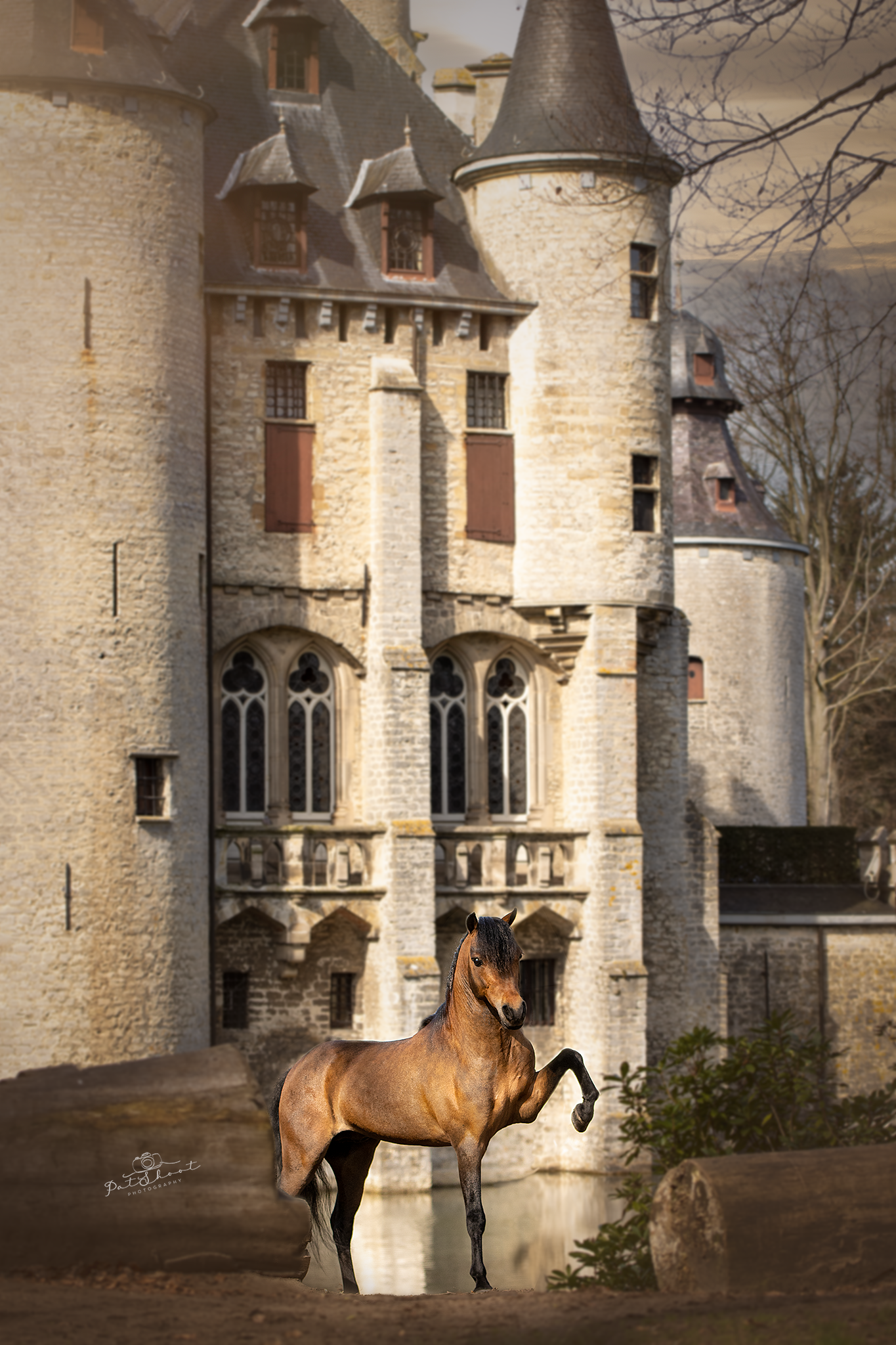 Een bruin paard steigert voor een stenen kasteel met hoge torens.