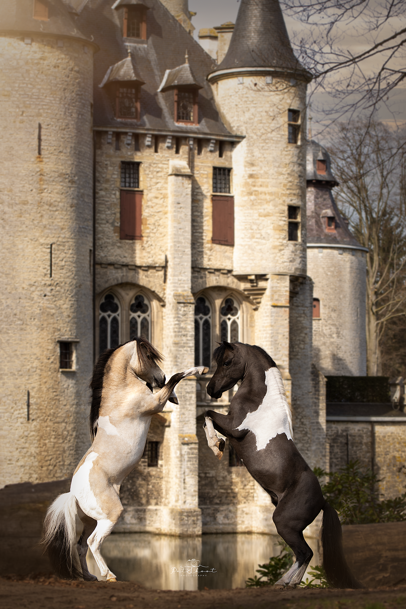 Twee steigerende pony's met een kasteel op de achtergrond. De ene is licht, de andere donker. Ze staan ​​tegenover elkaar en spelen.