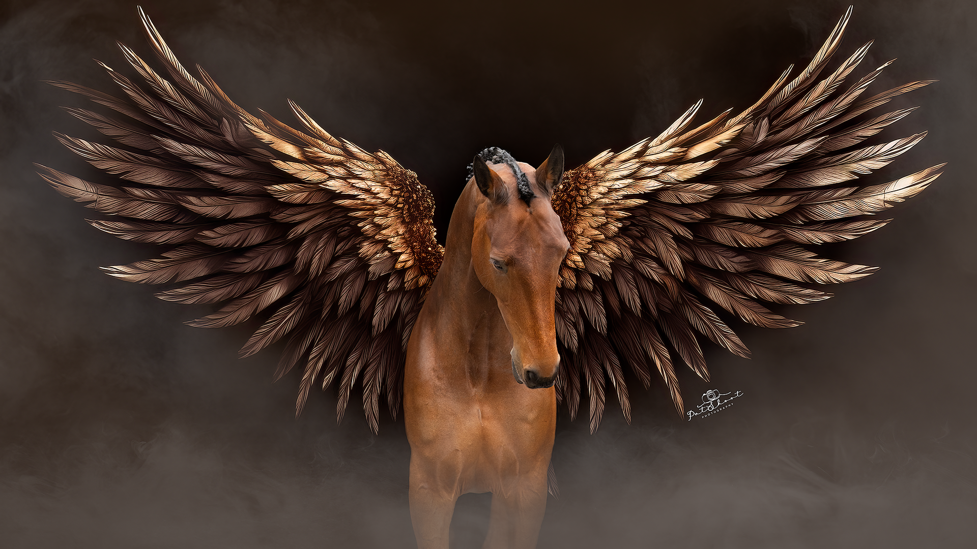 Een bruine Pegasus met gouden, uitgestrekte vleugels, die uit een donkere mist tevoorschijn komt.