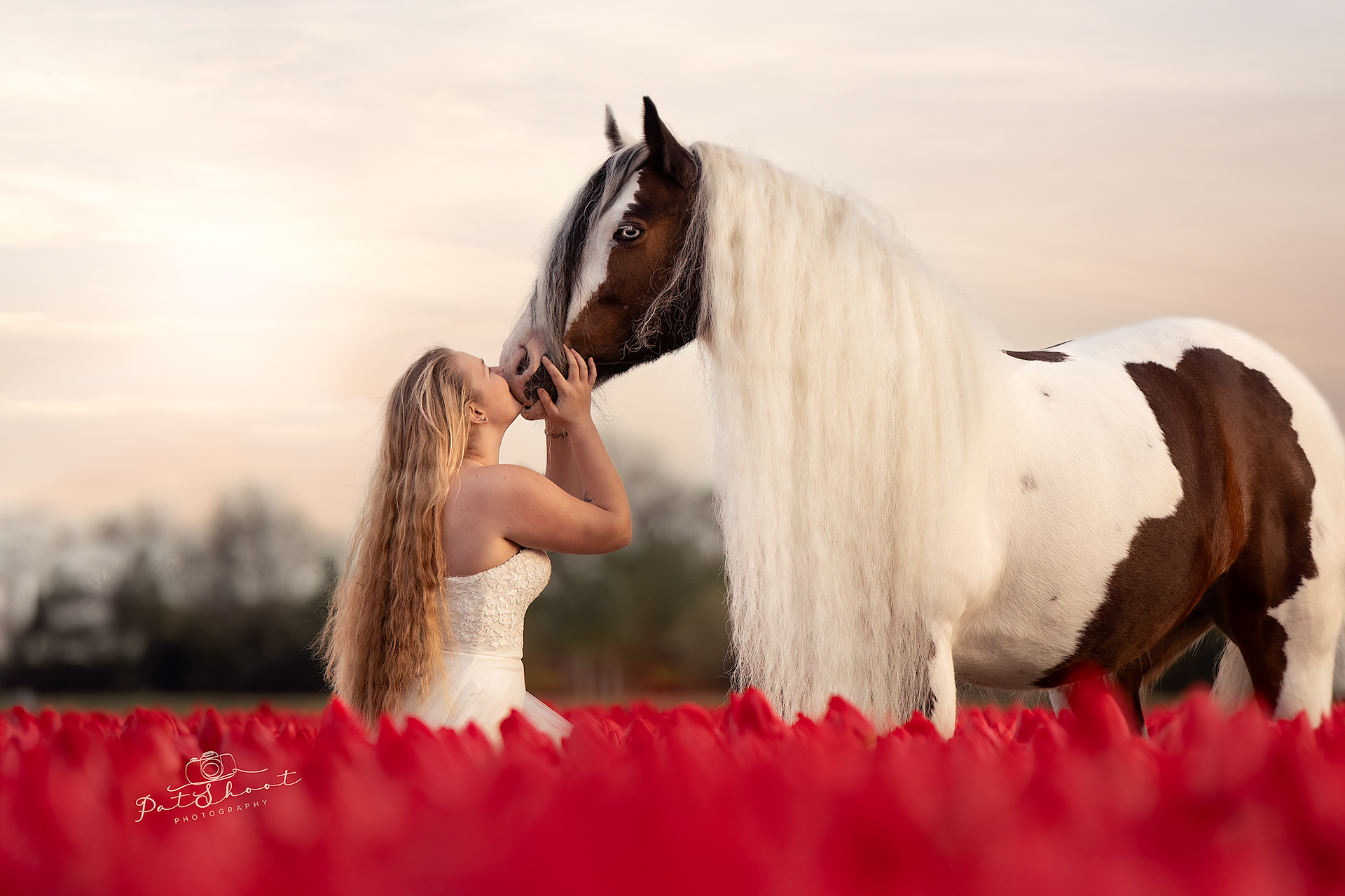 Een vrouw in een witte jurk kust een bruin-wit paard in een veld met rode bloemen.