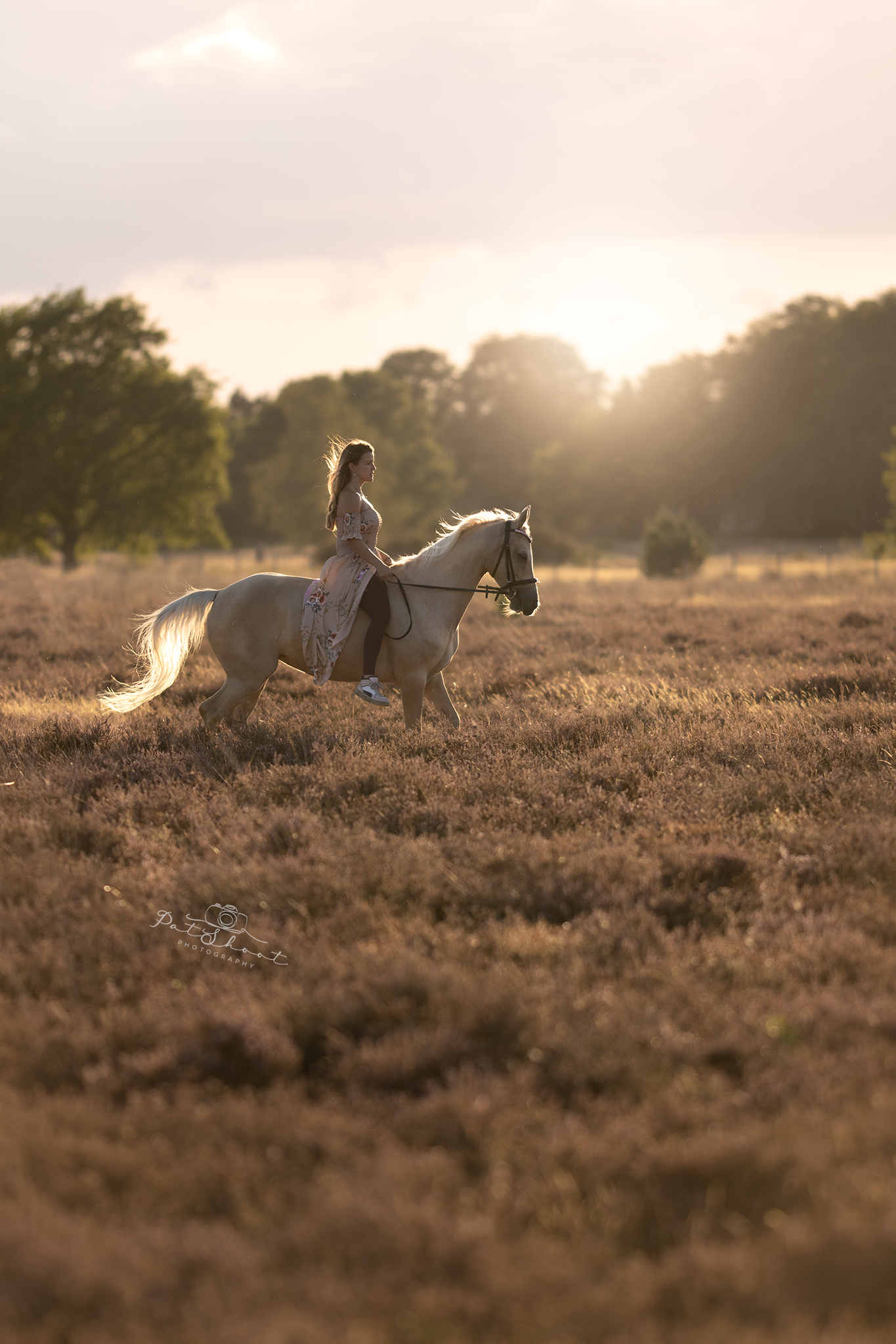 Een vrouw rijdt op een wit paard door een veld, de zon gaat onder achter de bomen.