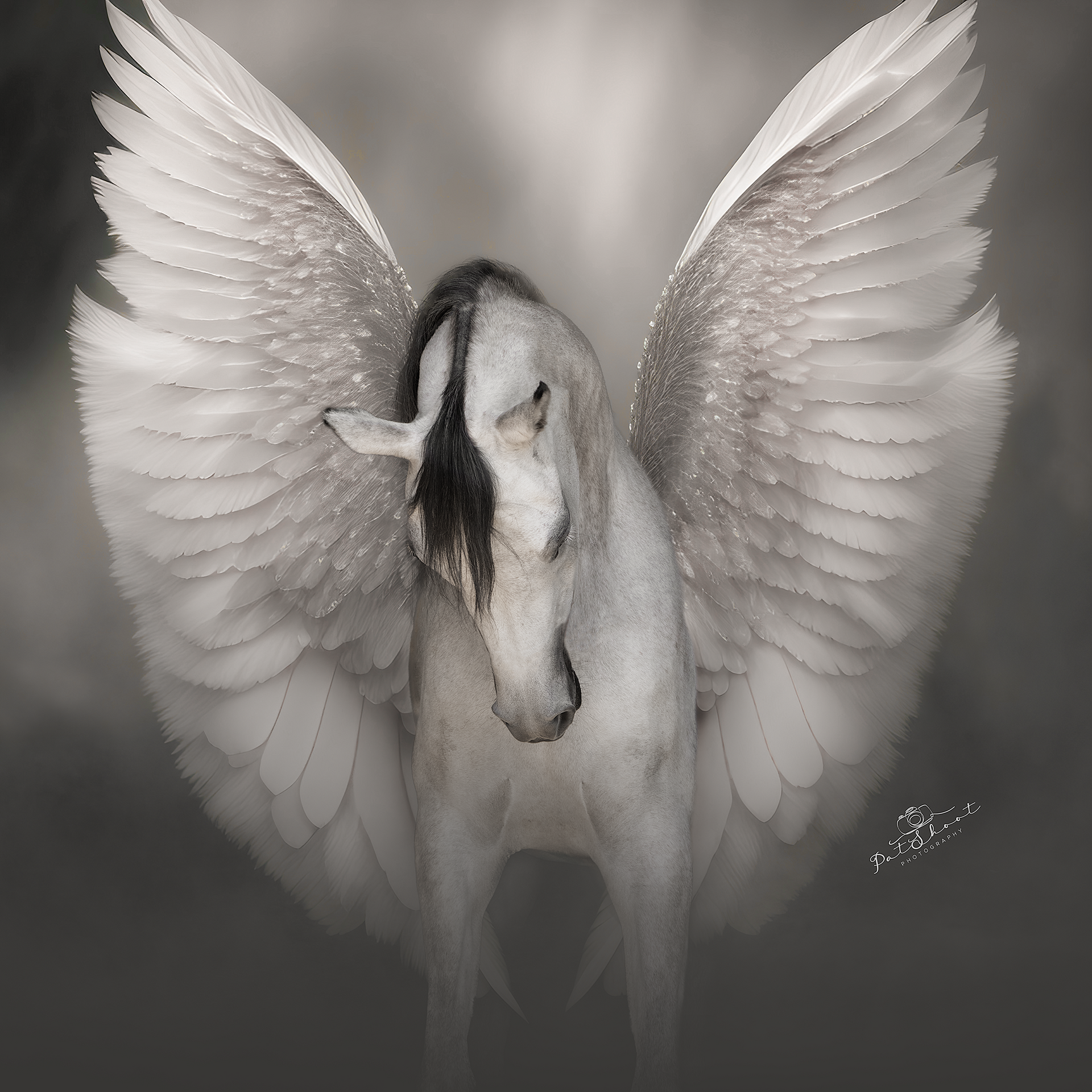 Witte Pegasus met uitgestrekte vleugels tegen een wazige, lichtgrijze achtergrond; zwarte manen.
