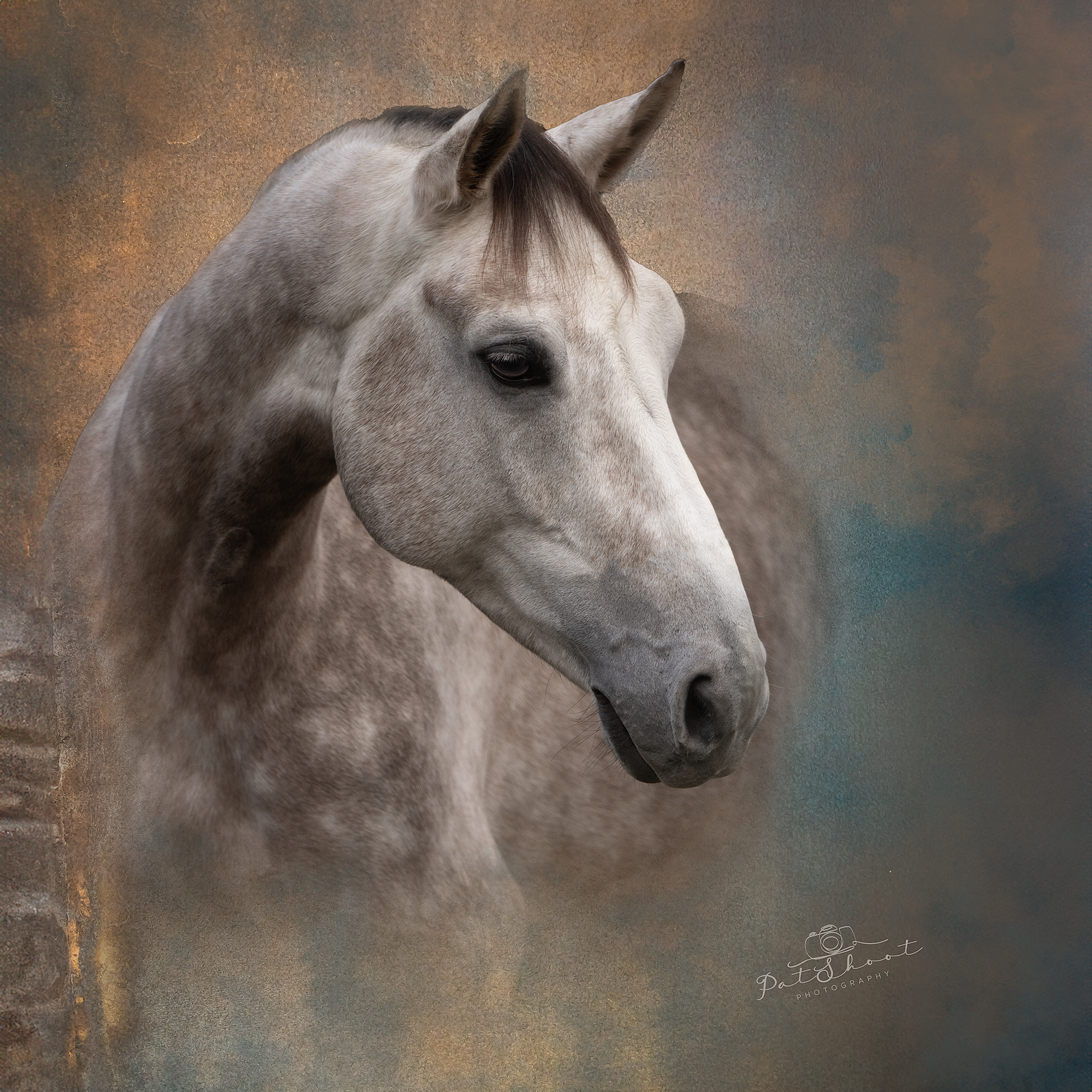 Grijs paard met gevlekte vacht tegen een gemarmerde, aardetinten achtergrond, kijkt naar links.