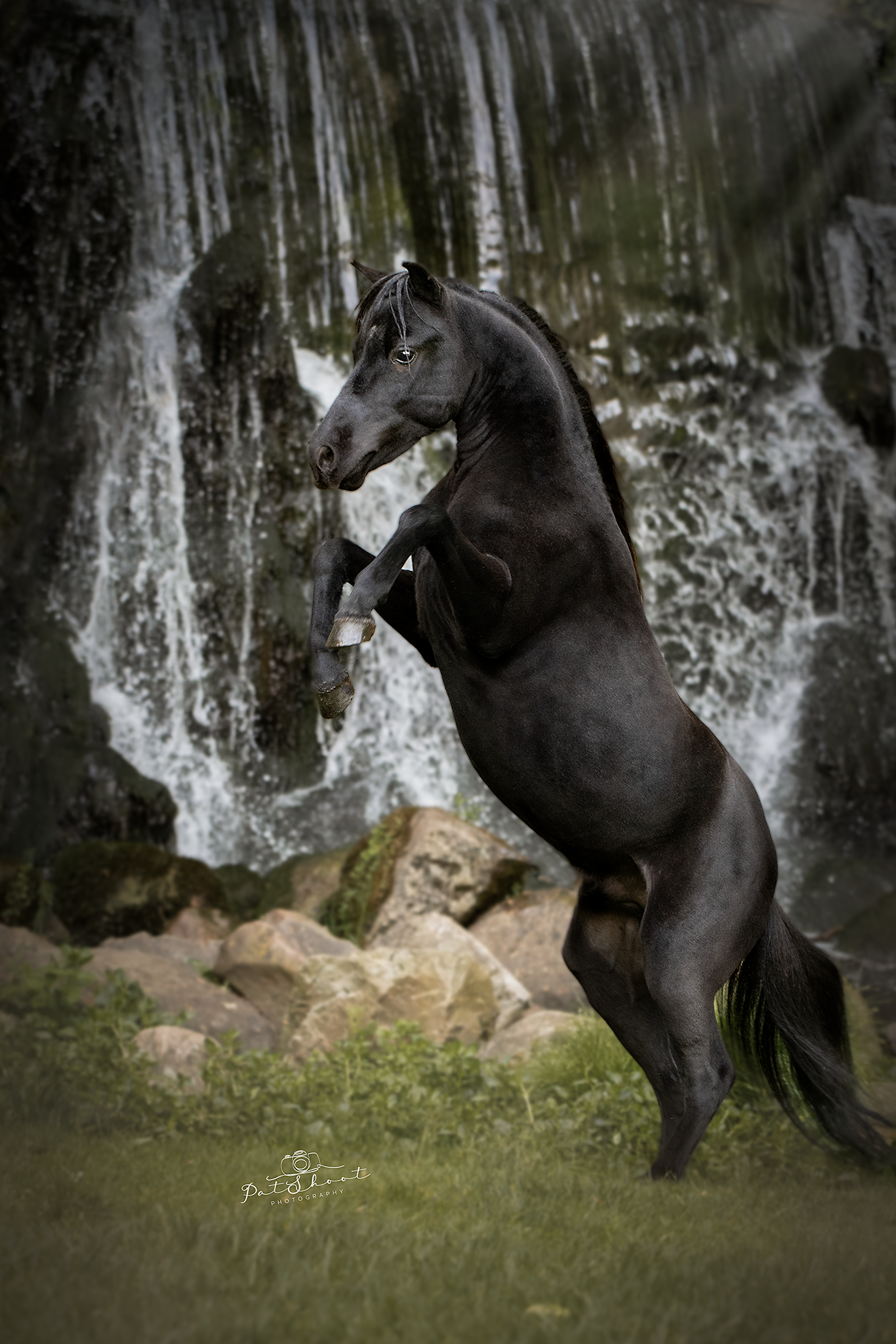 Zwart paard steigerend nabij een waterval; natte, rotsachtige grond en weelderig groen op de achtergrond.