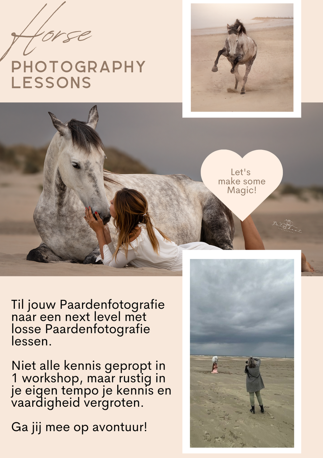 Workshop paardenfotografie Workshop Paardenfotografie-Paarden fotograferen-Paardenfotografie voor beginners-Paardenfotografie cursus