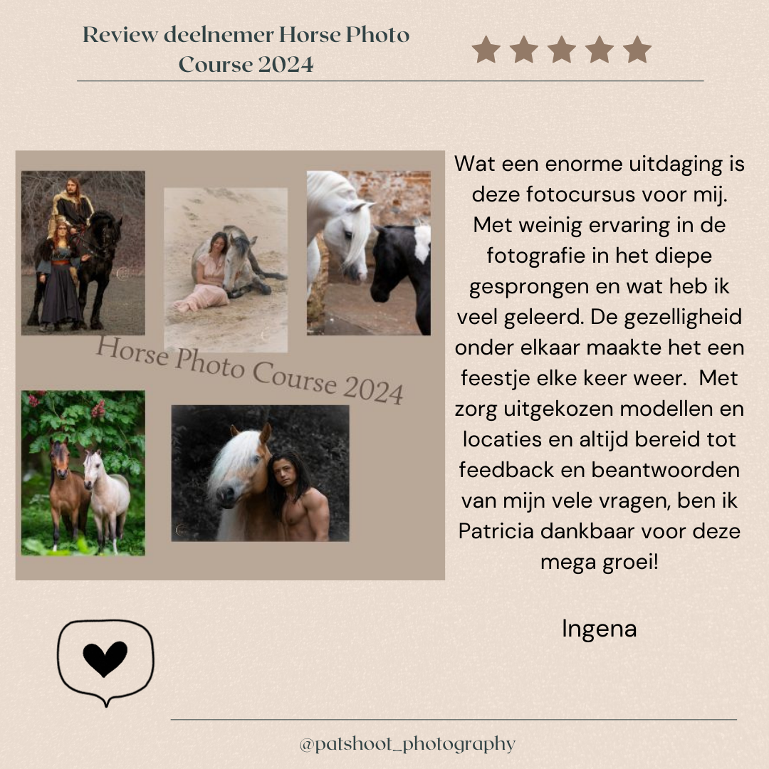 Recensie van een cursus paardenfotografie met foto's van paarden; tekst in het Nederlands.