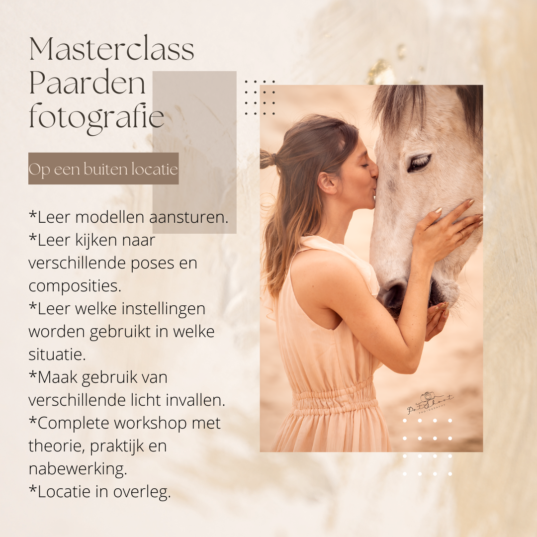 Masterclass Paardenfotografie Masterclass Paardenfotografie-workshop Paardenfotografie