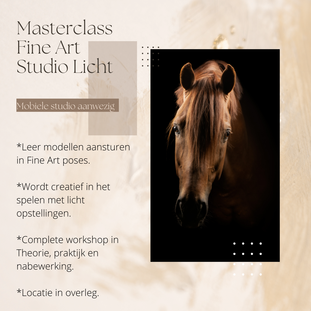Workshop Studiofotografie workshop paardenfotografie-workshop FineArt Studiolicht