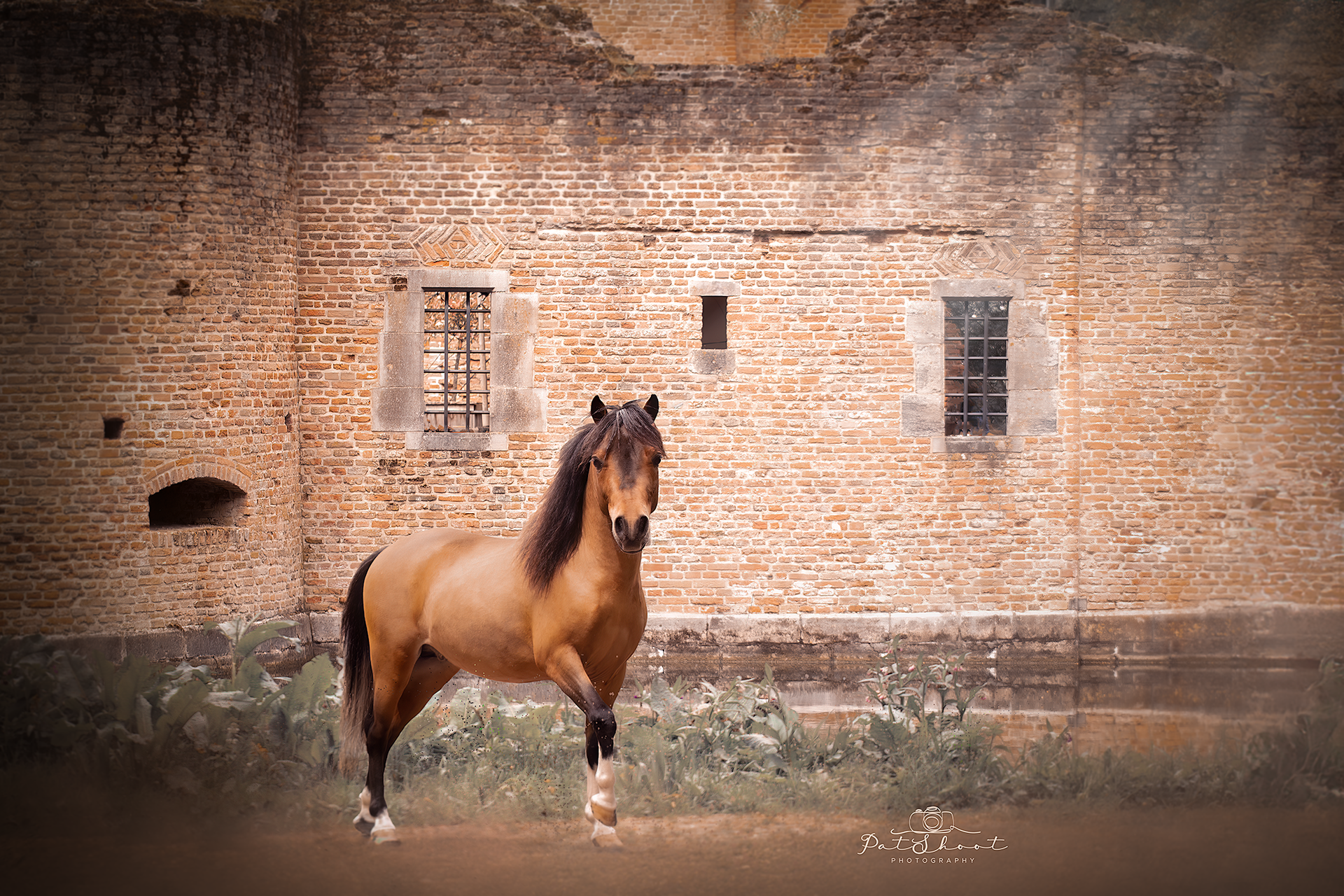 Horse photo Course 2025-4e meeloopdag-Paardenfotografie-kasteel