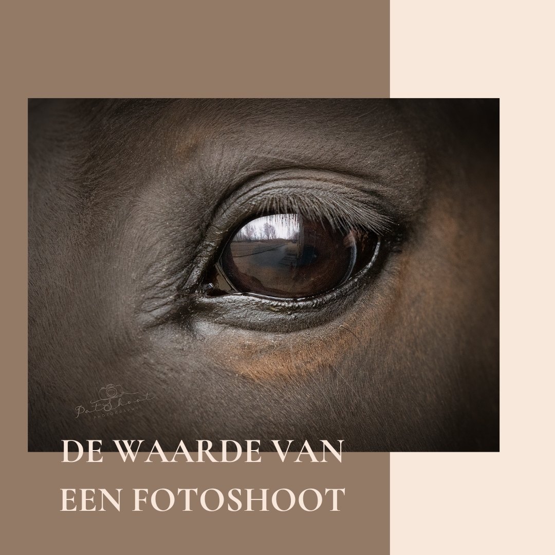 uitleg over de waarde van een fotoshoot met je paard, wat betekend zo'n waardevolle herinnering.