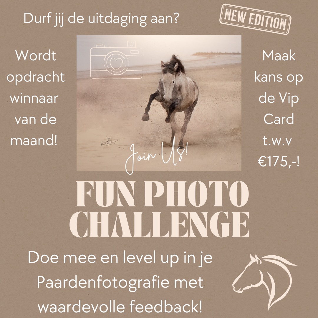 fun Photo Challenge_Paardenfotografie_ workshop