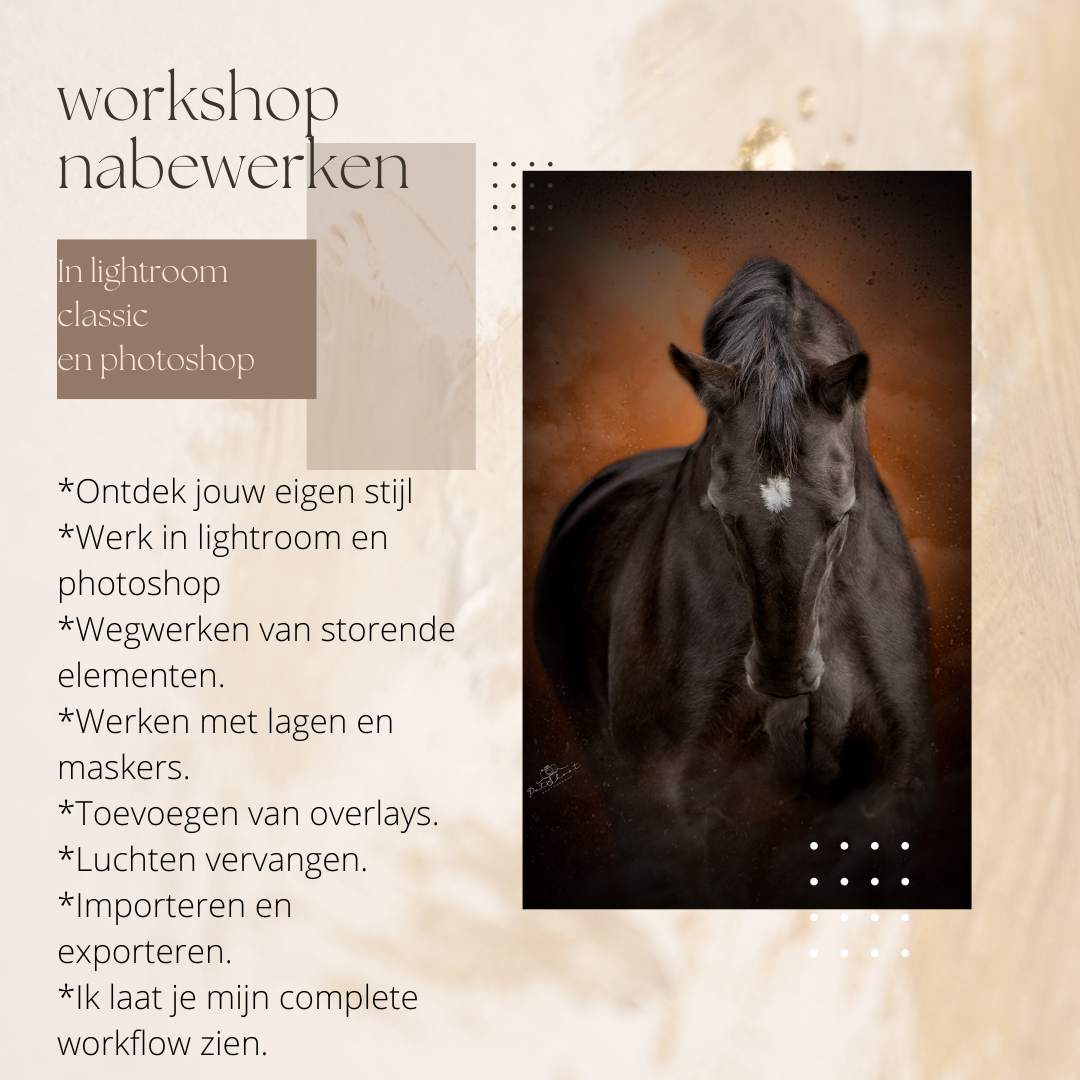 Workshop Nabewerken in Photoshop Workshop Paardenfotografie-Workshop Photoshop-Paardenfotografie in Photoshop