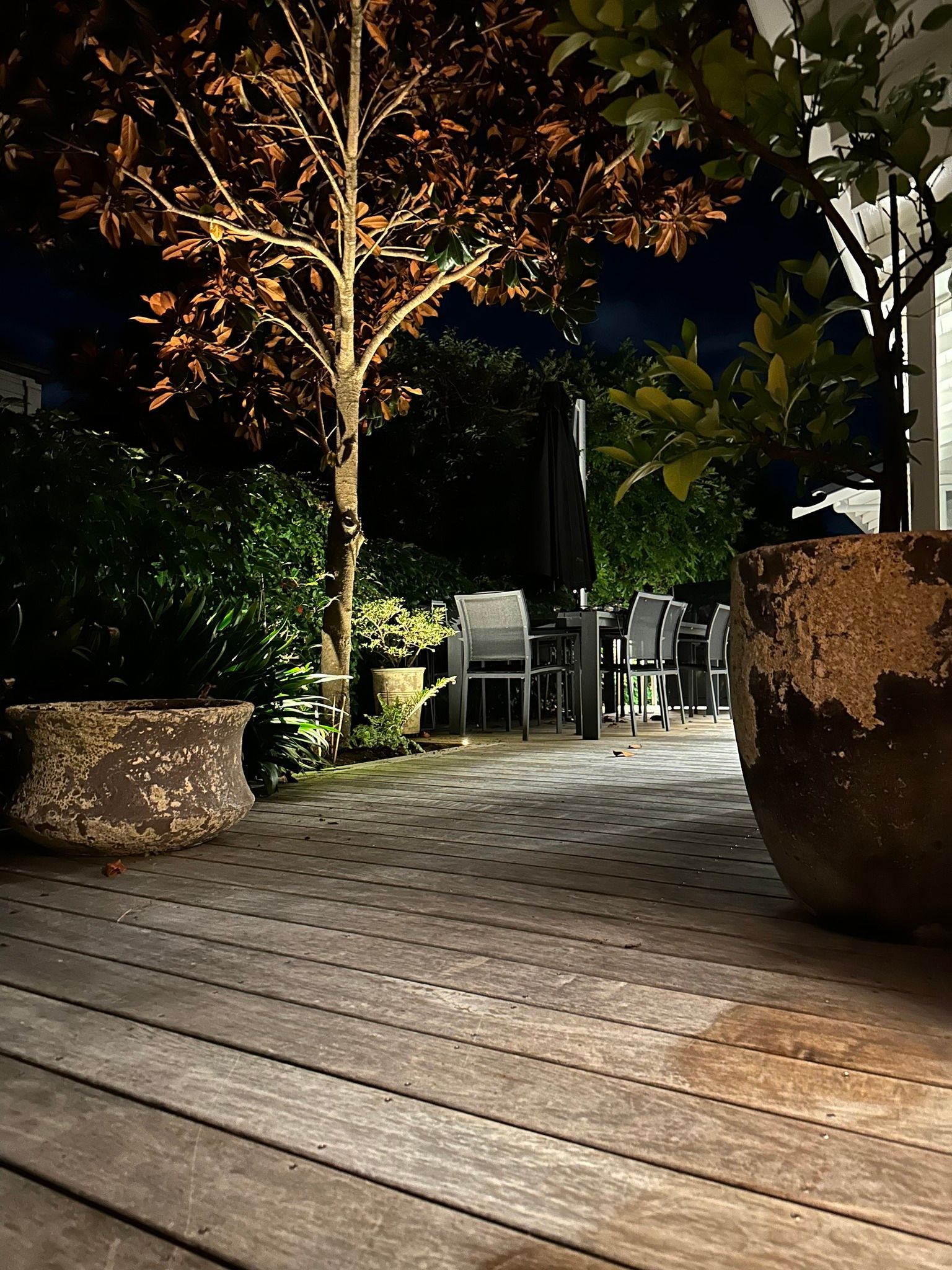 A large potted plant is sitting on a wooden deck at night.