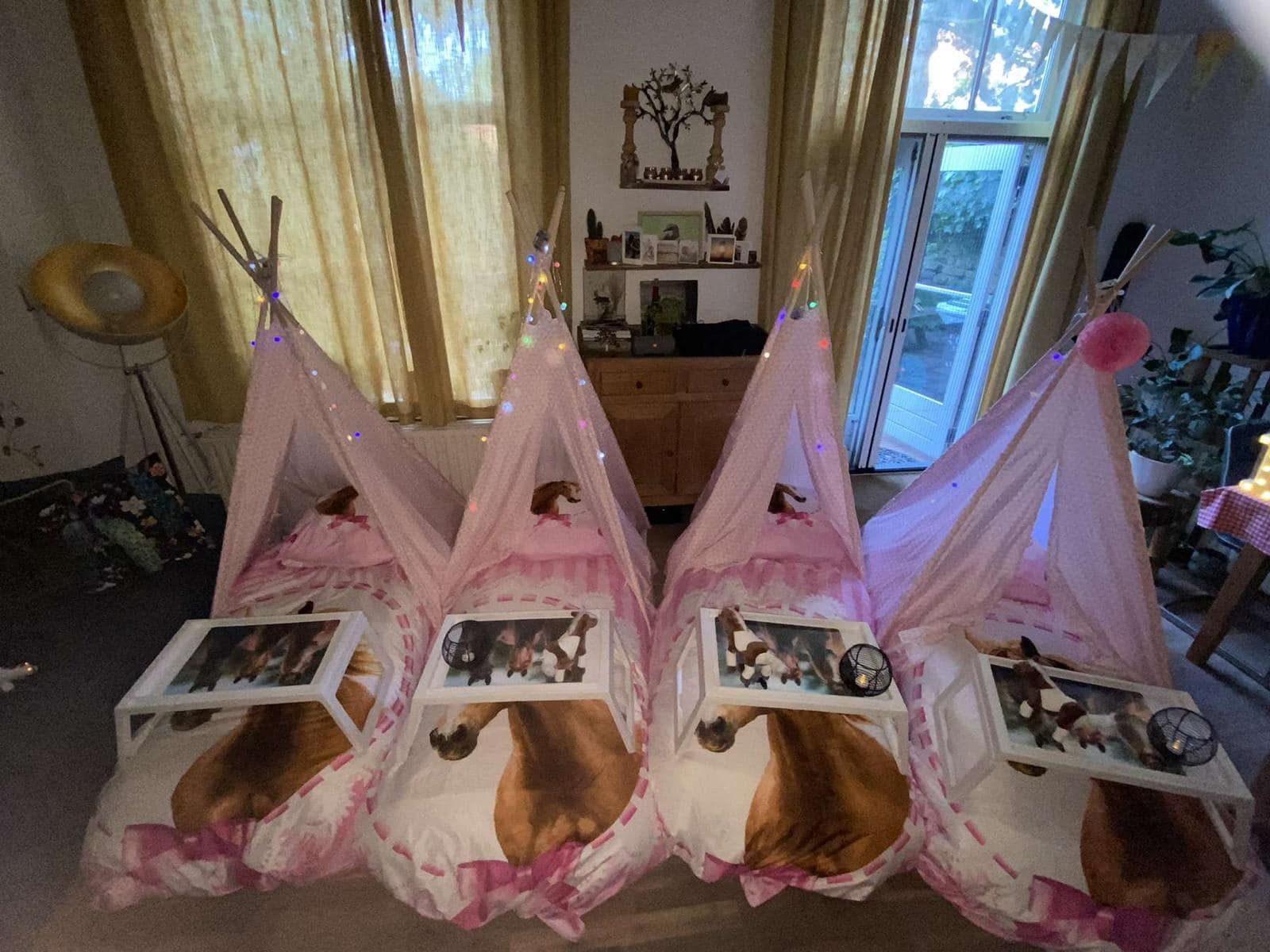 Tipi slaapfeestje