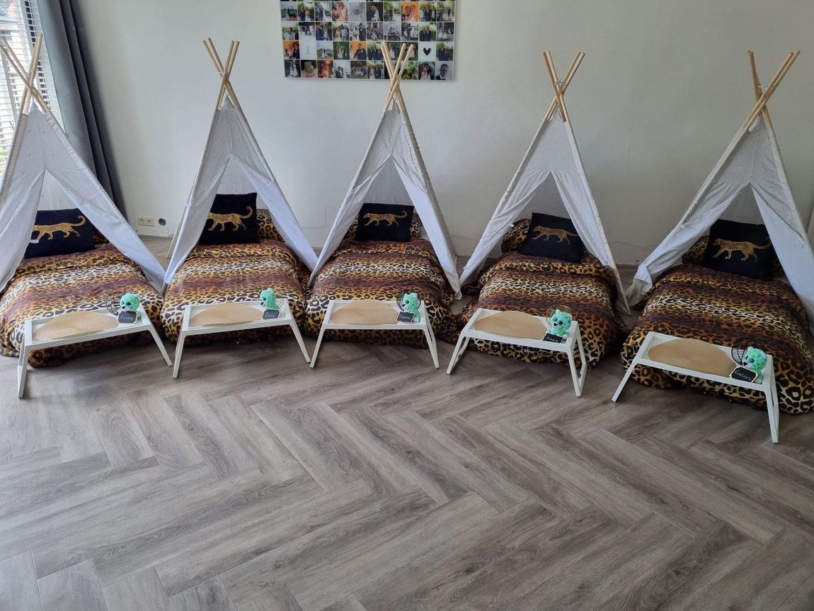 tipi slaapfeestje voor kinderfeestje