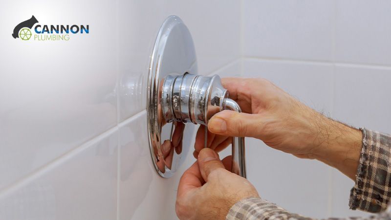 Shower Handle Replacement