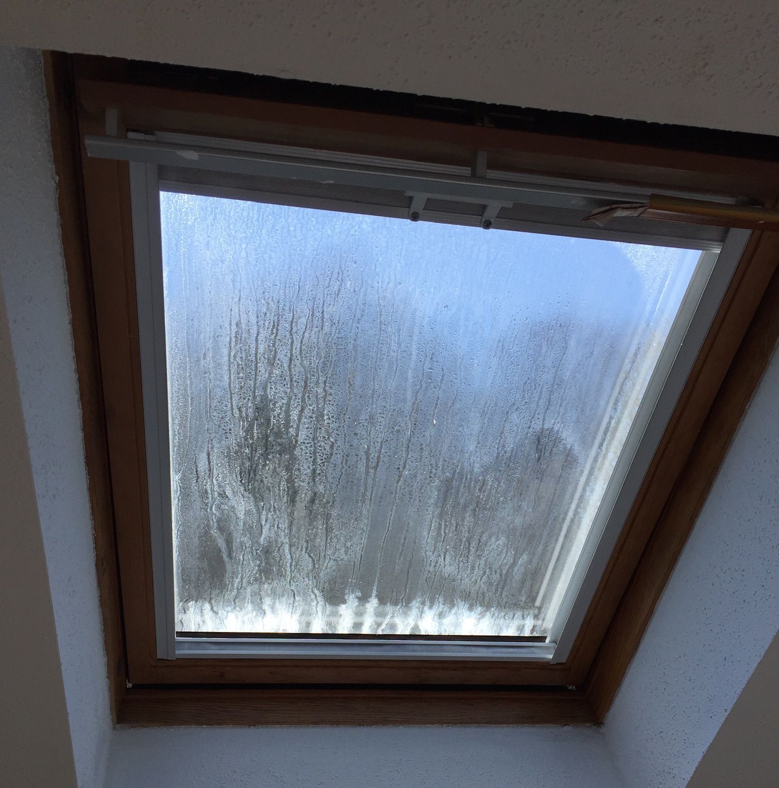 Skylight Repair
