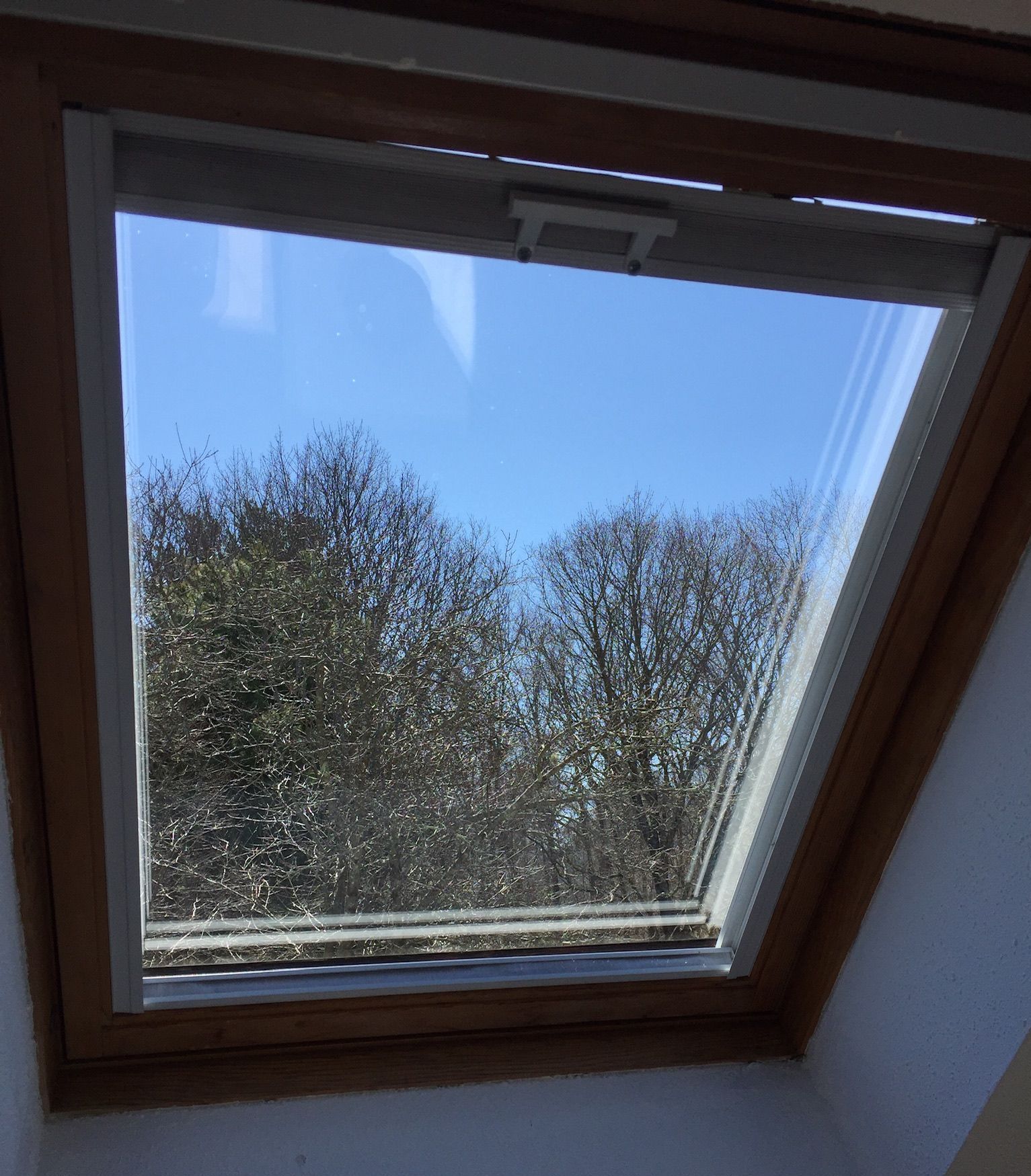 Repaired skylight