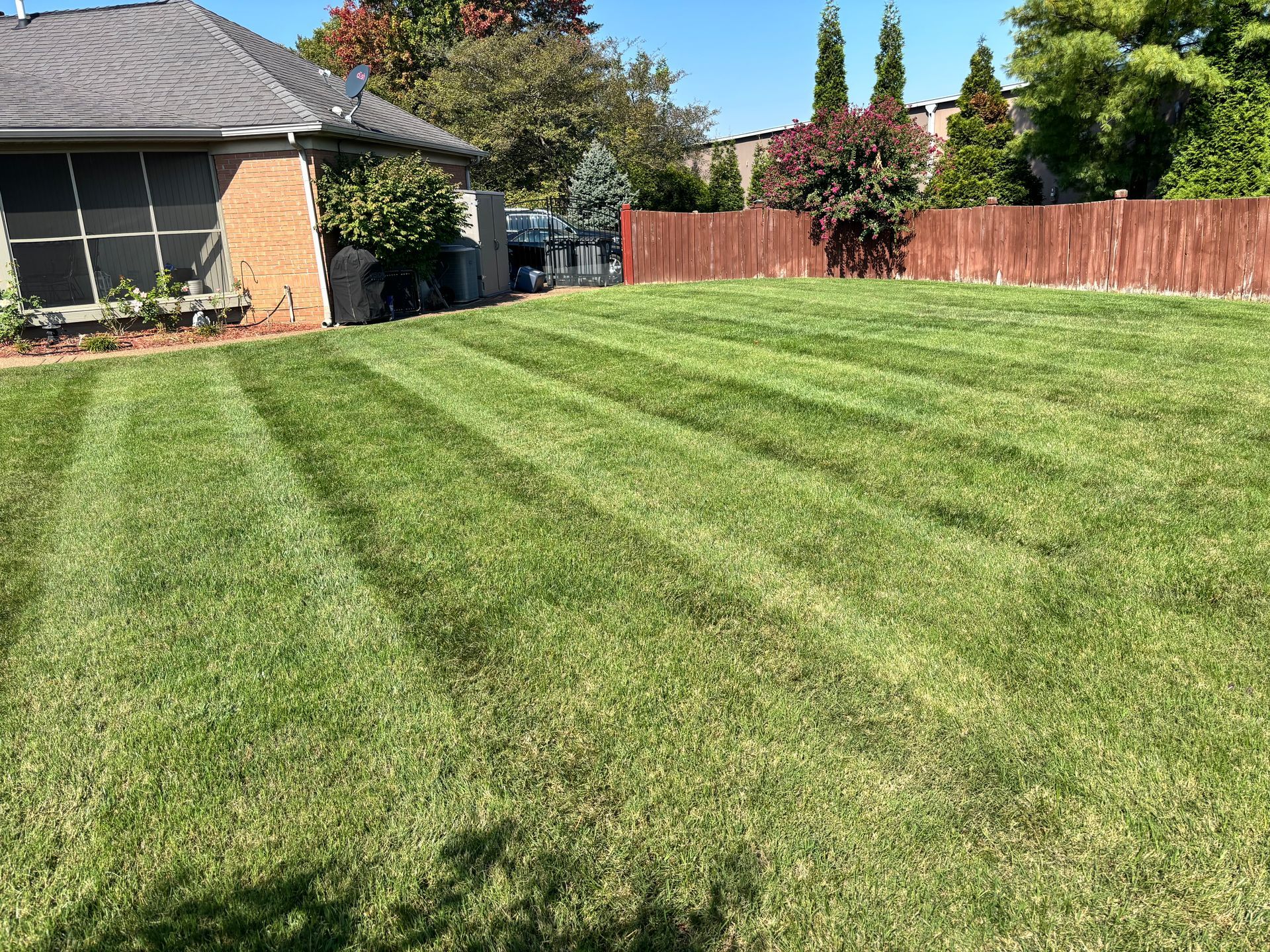 Lawn mower cutting grass in a backyard with striped patterns. A shed and trees are visible.