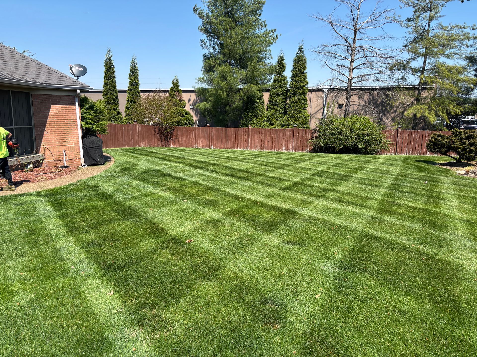 Yellow lawnmower cutting a grassy lawn in front of brick houses on a sunny day.