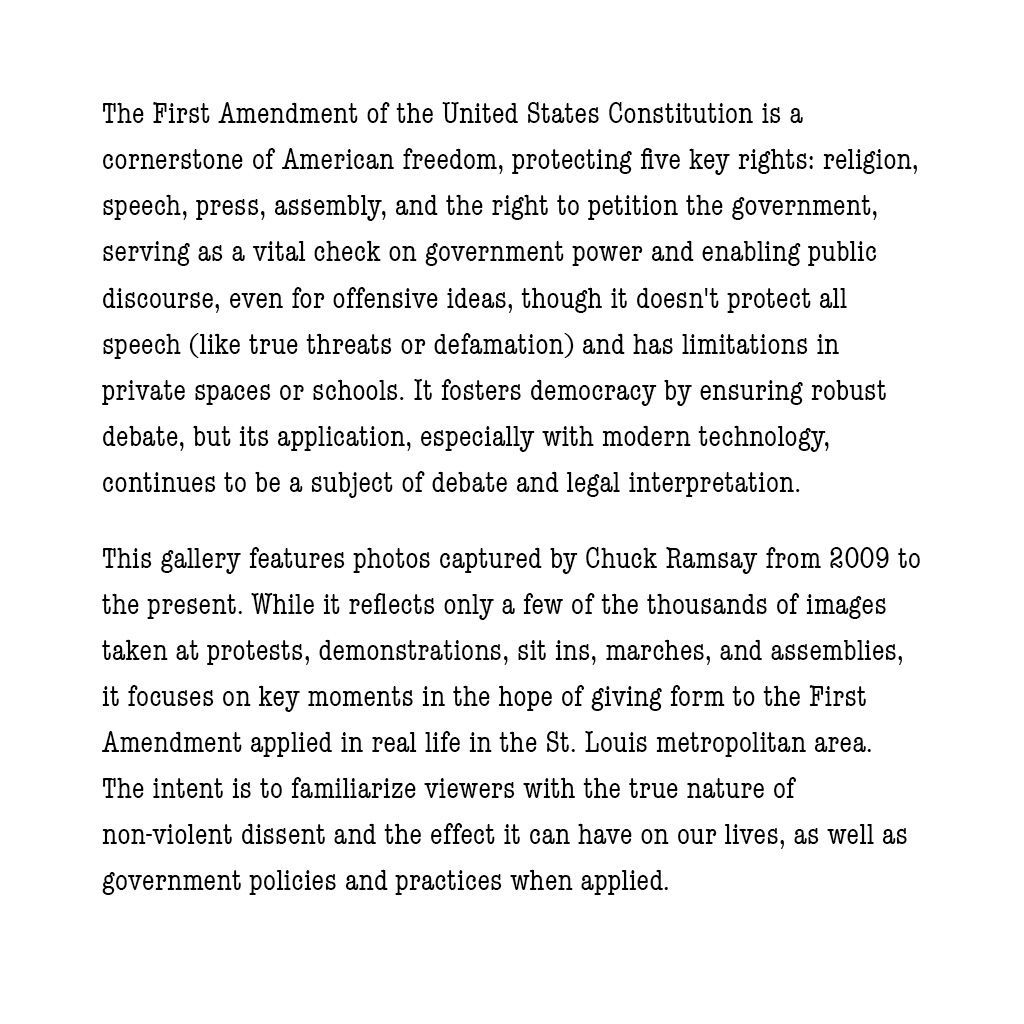 Free Speech, First Amendment rights, protest, civil disobedience, U.S. Constitution, stand up, speak out, take a stance, freedom of speech, freedom of assembly, freedom of religion, 