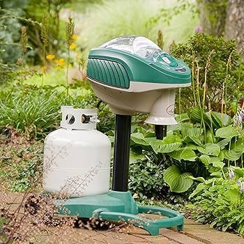 Personale Arte Giardino al servizio dei clienti