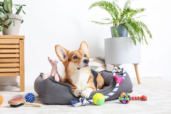Reparto prodotti per animali