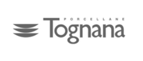 Logo Tognana in grigio con emblema stilizzato a tre linee sopra il marchio denominativo