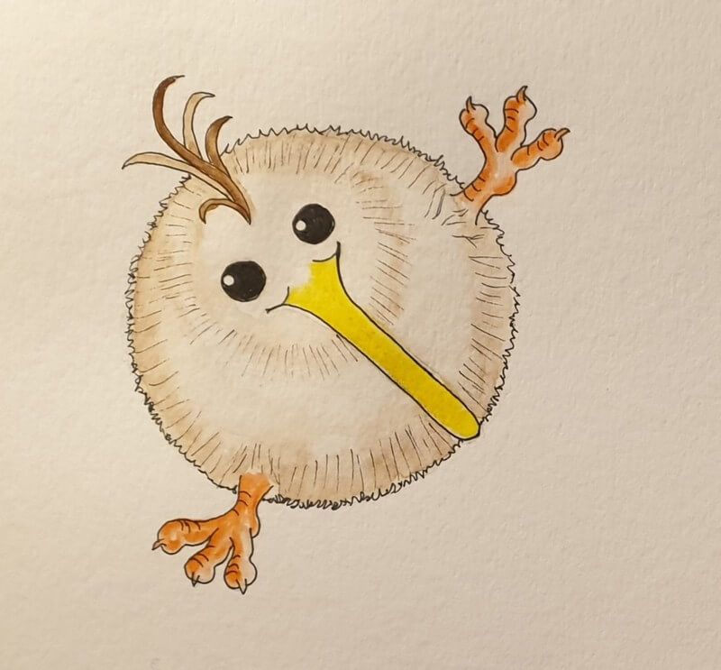 Mio, een karakter gebaseerd op een kiwivogel. Ontwikkeld voor een educatieve website.