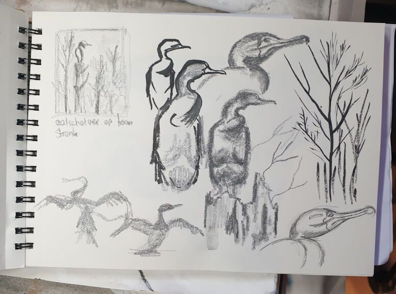 Aalscholver schetsboek Joyce van Paassen Art © 2024