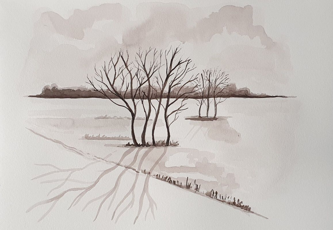 Bomen bij de surfplas Vlaardingen. Gewassen Sepiainkt
Joyce van Paassen Art 2023 ©