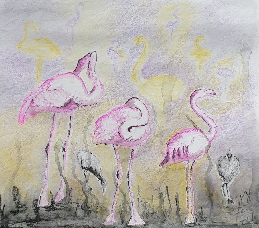 Flamengo's met aquarelpotloden naar een foto van Blijdorp magazine
Joyce van Paassen Art © 2023