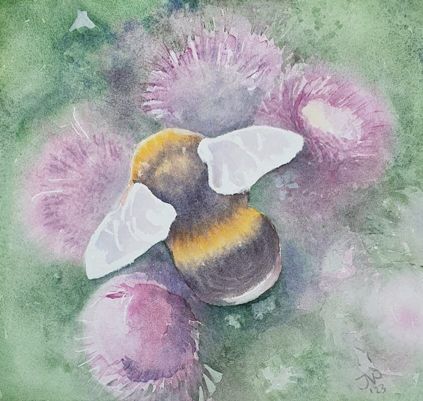 Hommel op paarse distel, aquarel - Joyce van Paassen Art 2023 ©